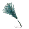 Teal Blue Lattifolia (Limonium)(Per Bunch)