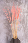 Pink Dainty Reed (Per Bunch)