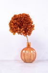 Preserved Rust Hydrangea