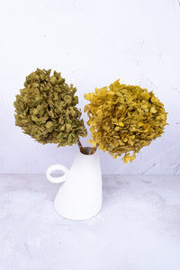 Preserved Moss Green Hydrangea