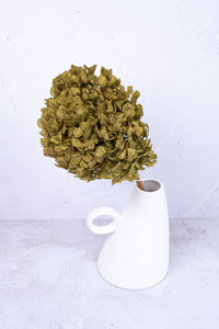 Preserved Moss Green Hydrangea