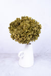 Preserved Moss Green Hydrangea