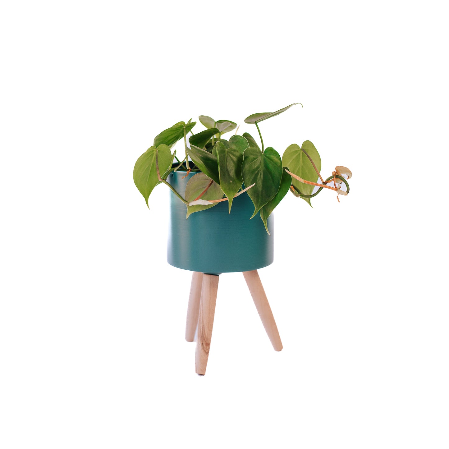 Teal Footed Planter (Small)