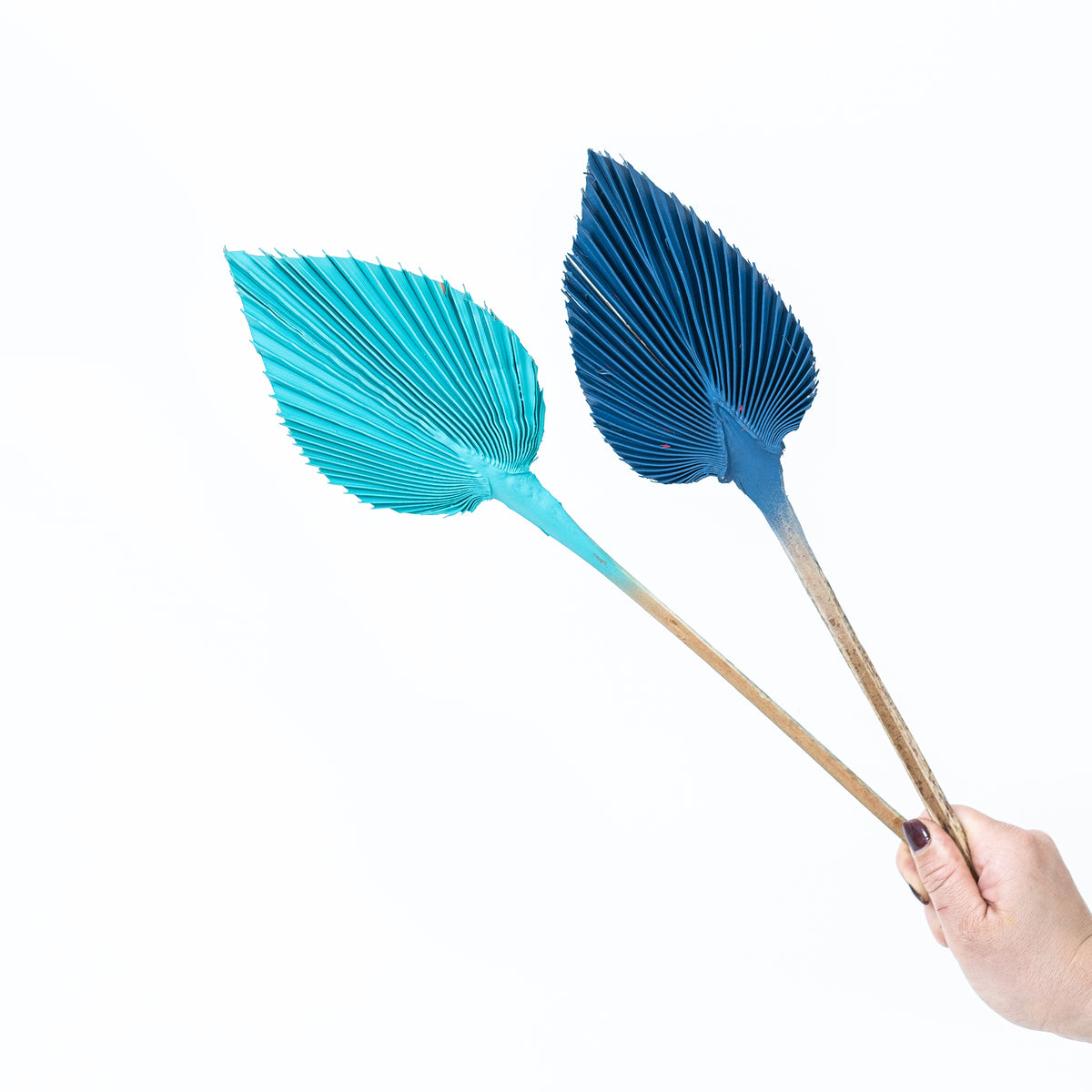 Turquoise Small Spear Palm
