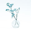 Belly Round Smooth Glass Vase (10cm)