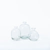 Belly Round Smooth Glass Vase (10cm)