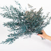 Teal Blue Lattifolia (Limonium)(Per Bunch)