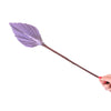 Lilac Purple Small Spear Palm